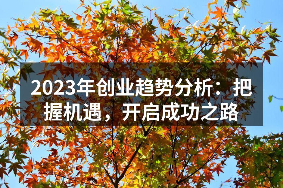 创业者在数字化转型中把握机遇